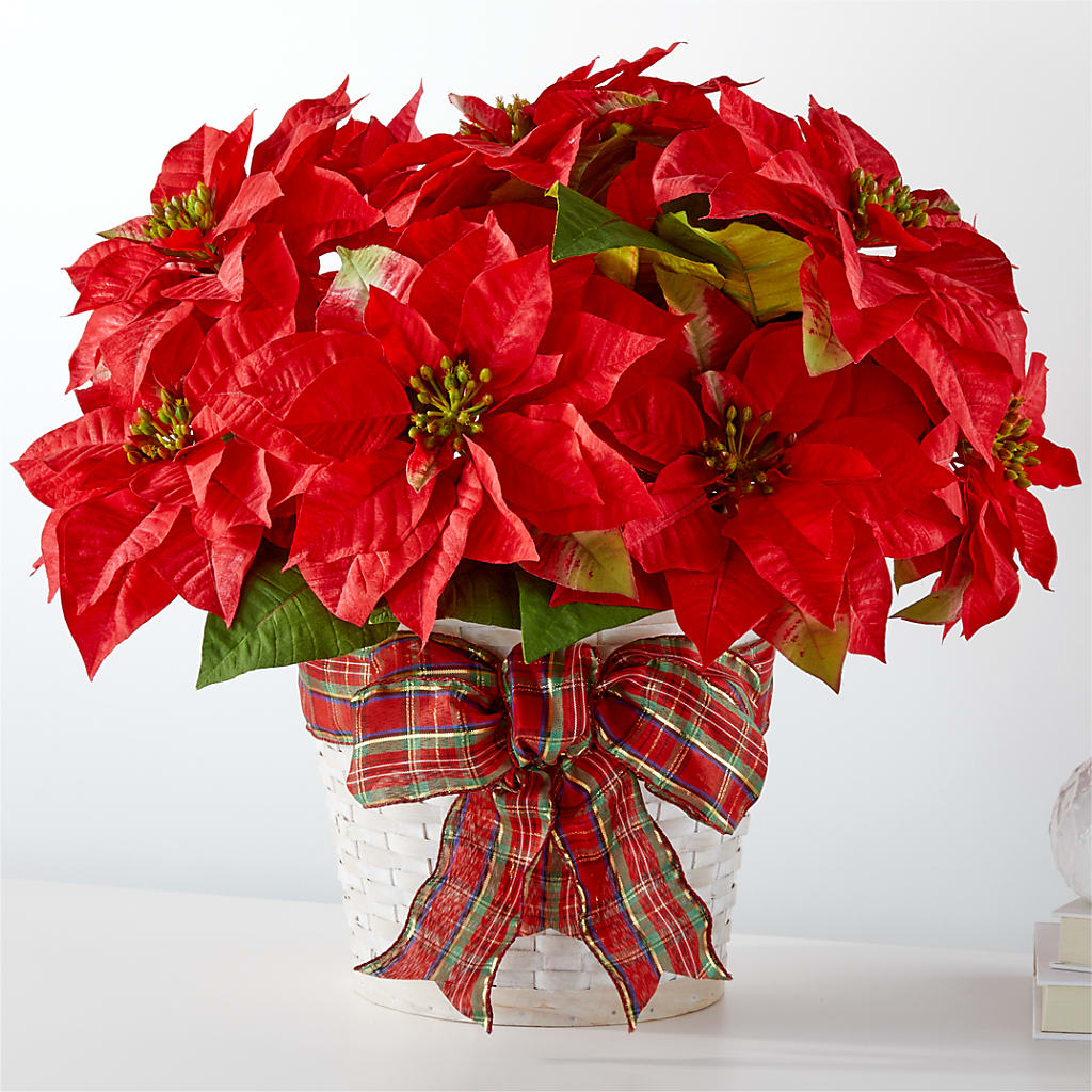 Happiest Holidays Poinsettia – HILL'S FLOWERS AND EVENTS, San Jose CA