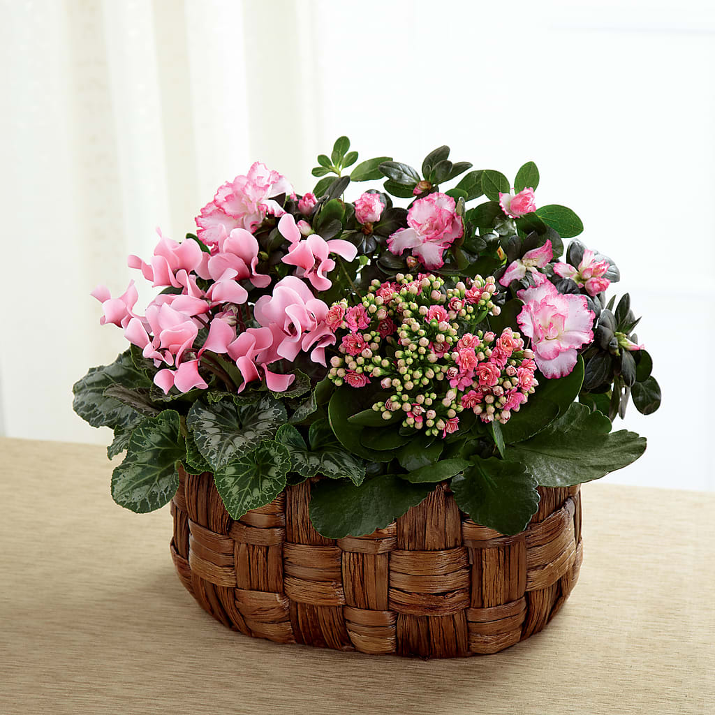 Pink Assortment – HILL'S FLOWERS AND EVENTS, San Jose CA