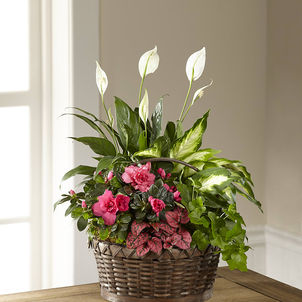 Dream in Pink Dishgarden – HILL'S FLOWERS AND EVENTS, San Jose CA
