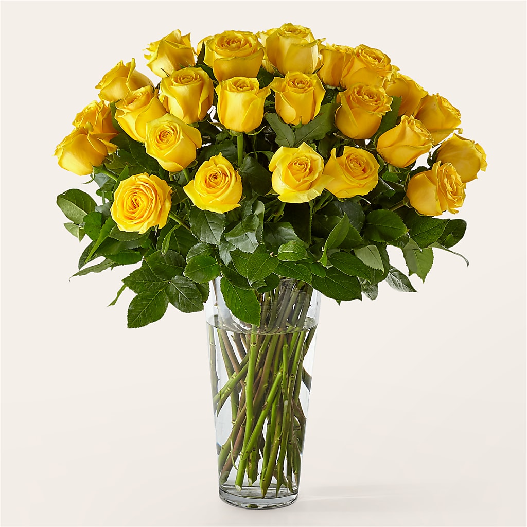 Long Stem Yellow Rose Bouquet – HILL'S FLOWERS AND EVENTS, San Jose CA