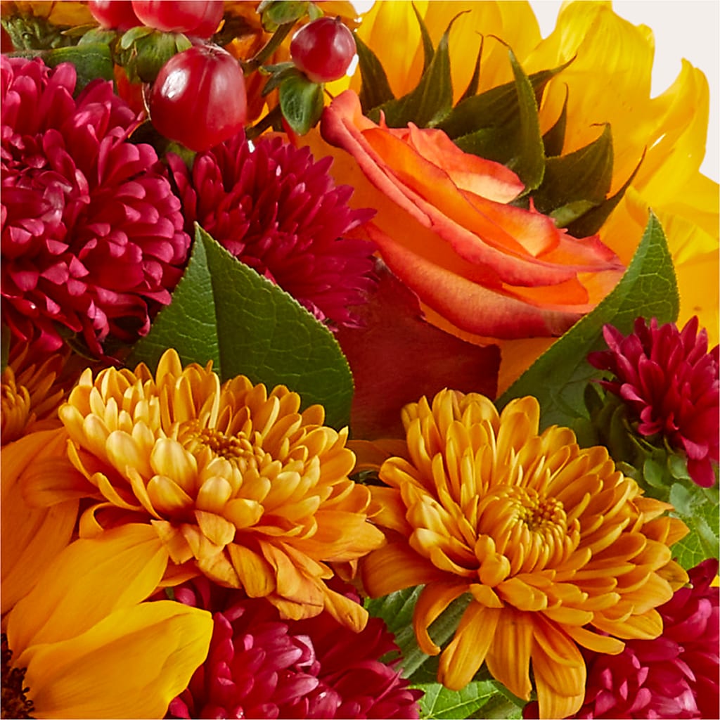 Sweater Season - A Florist Original – HILL'S FLOWERS AND EVENTS, San Jose CA