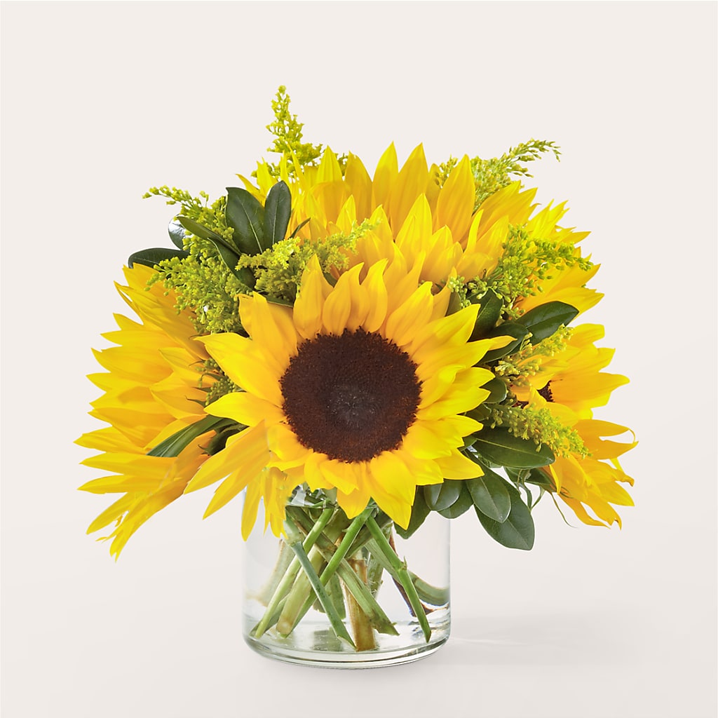 Beaming Sunflower Bouquet – HILL'S FLOWERS AND EVENTS, San Jose CA