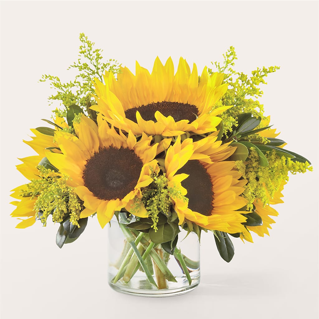 Beaming Sunflower Bouquet – HILL'S FLOWERS AND EVENTS, San Jose CA