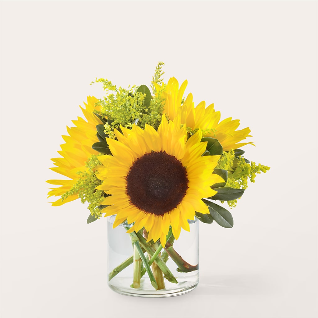 Beaming Sunflower Bouquet – HILL'S FLOWERS AND EVENTS, San Jose CA