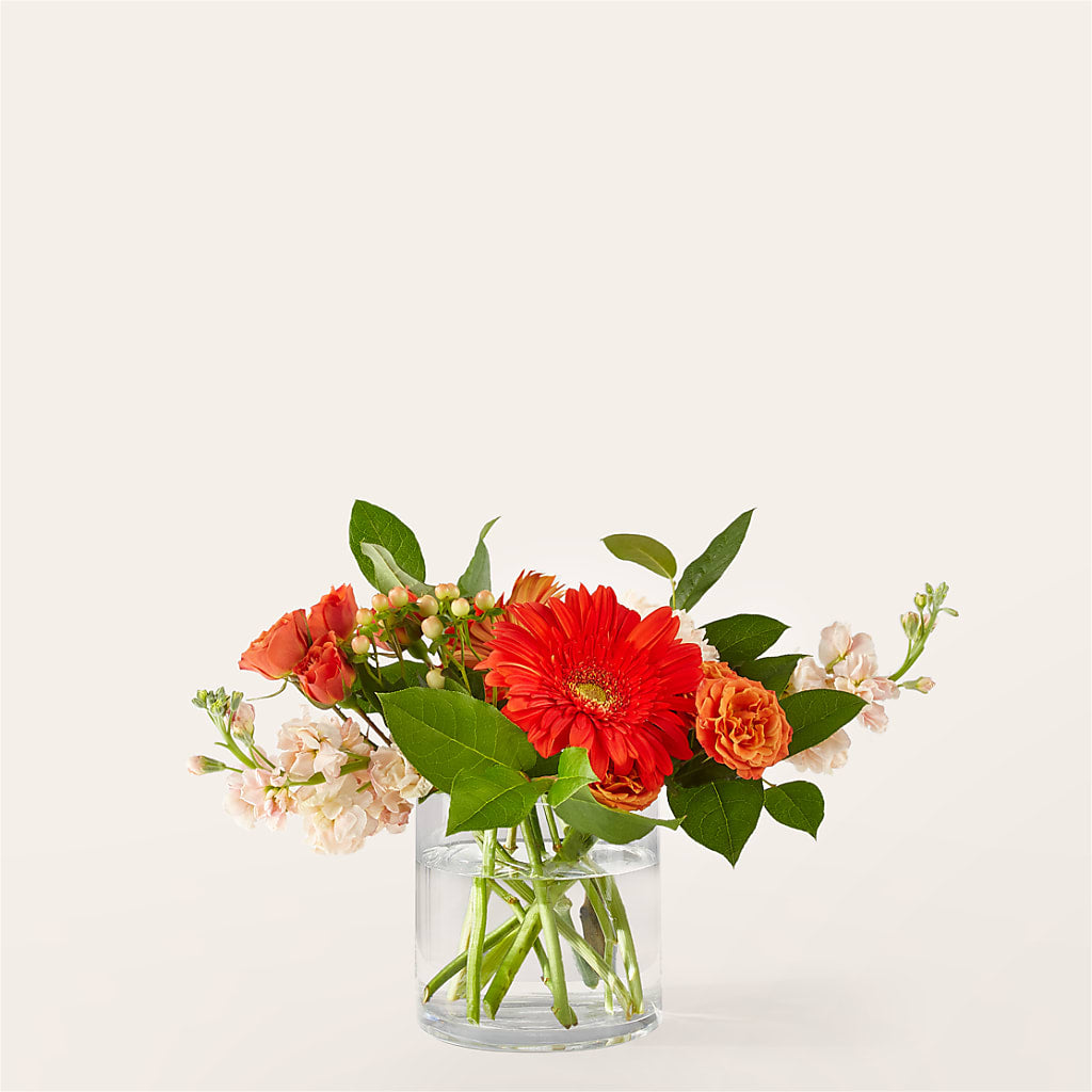 Paloma Please Bouquet – HILL'S FLOWERS AND EVENTS, San Jose CA