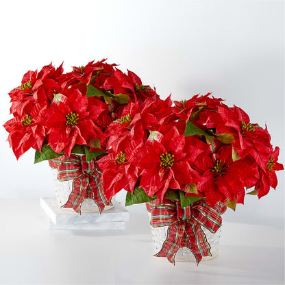 Happiest Holidays Poinsettia Bundle – HILL'S FLOWERS AND EVENTS, San Jose CA