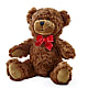 Adorable Plush Bear – HILL'S FLOWERS AND EVENTS, San Jose CA
