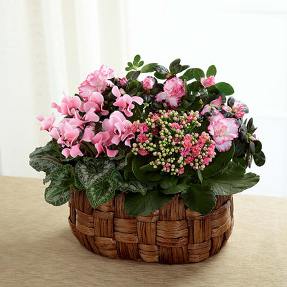 Pink Assortment – HILL'S FLOWERS AND EVENTS, San Jose CA