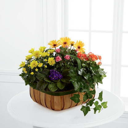 Gentle Blossoms Basket – HILL'S FLOWERS AND EVENTS, San Jose CA