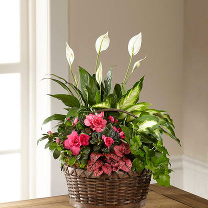 Dream in Pink Dishgarden – HILL'S FLOWERS AND EVENTS, San Jose CA