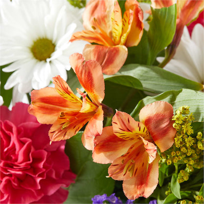 Oopsie Daisy Box Bouquet – HILL'S FLOWERS AND EVENTS, San Jose CA