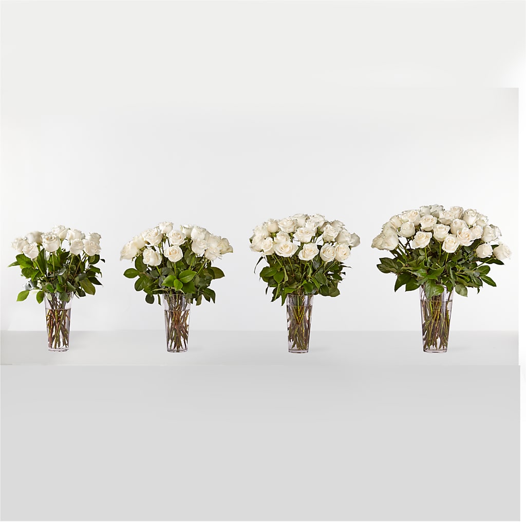 Long Stem White Rose Bouquet – HILL'S FLOWERS AND EVENTS, San Jose CA