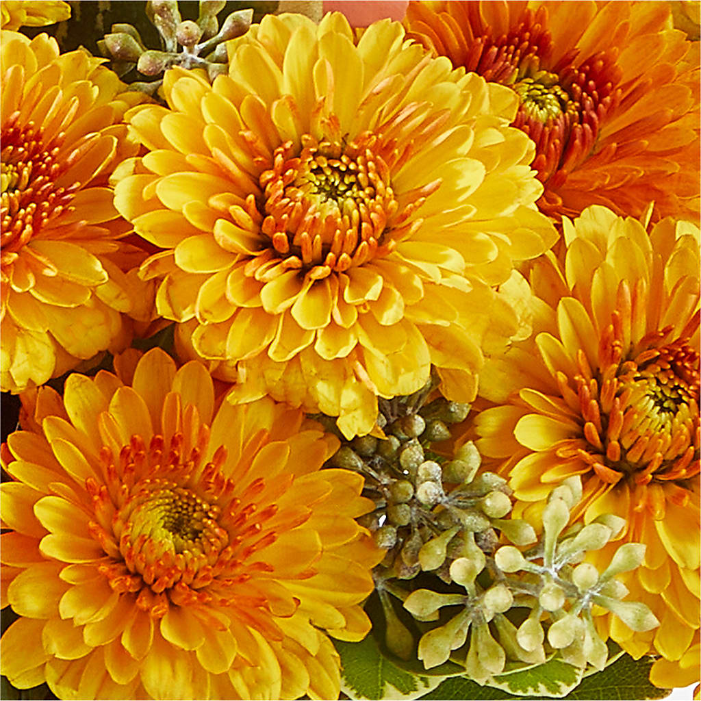 Peachy Pumpkin – HILL'S FLOWERS AND EVENTS, San Jose CA