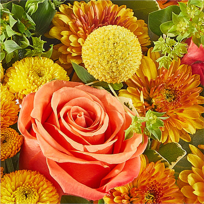 Gourdgeous Pumpkin – HILL'S FLOWERS AND EVENTS, San Jose CA