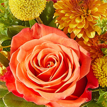 Gourdgeous Pumpkin – HILL'S FLOWERS AND EVENTS, San Jose CA
