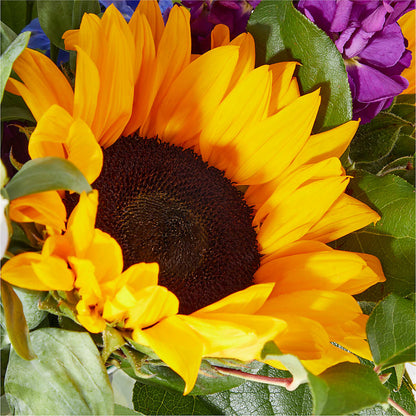 Catching Rays Bouquet – HILL'S FLOWERS AND EVENTS, San Jose CA