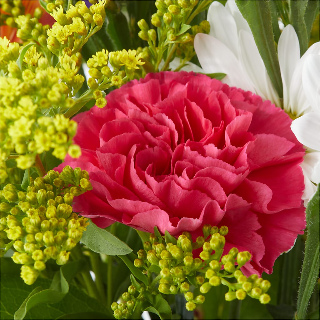 Oopsie Daisy Bouquet – HILL'S FLOWERS AND EVENTS, San Jose CA