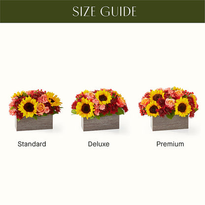 Fresh Cider Bouquet – HILL'S FLOWERS AND EVENTS, San Jose CA