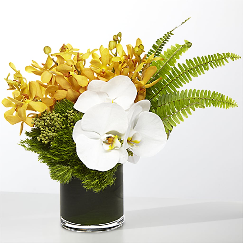 The Tropics – HILL'S FLOWERS AND EVENTS, San Jose CA