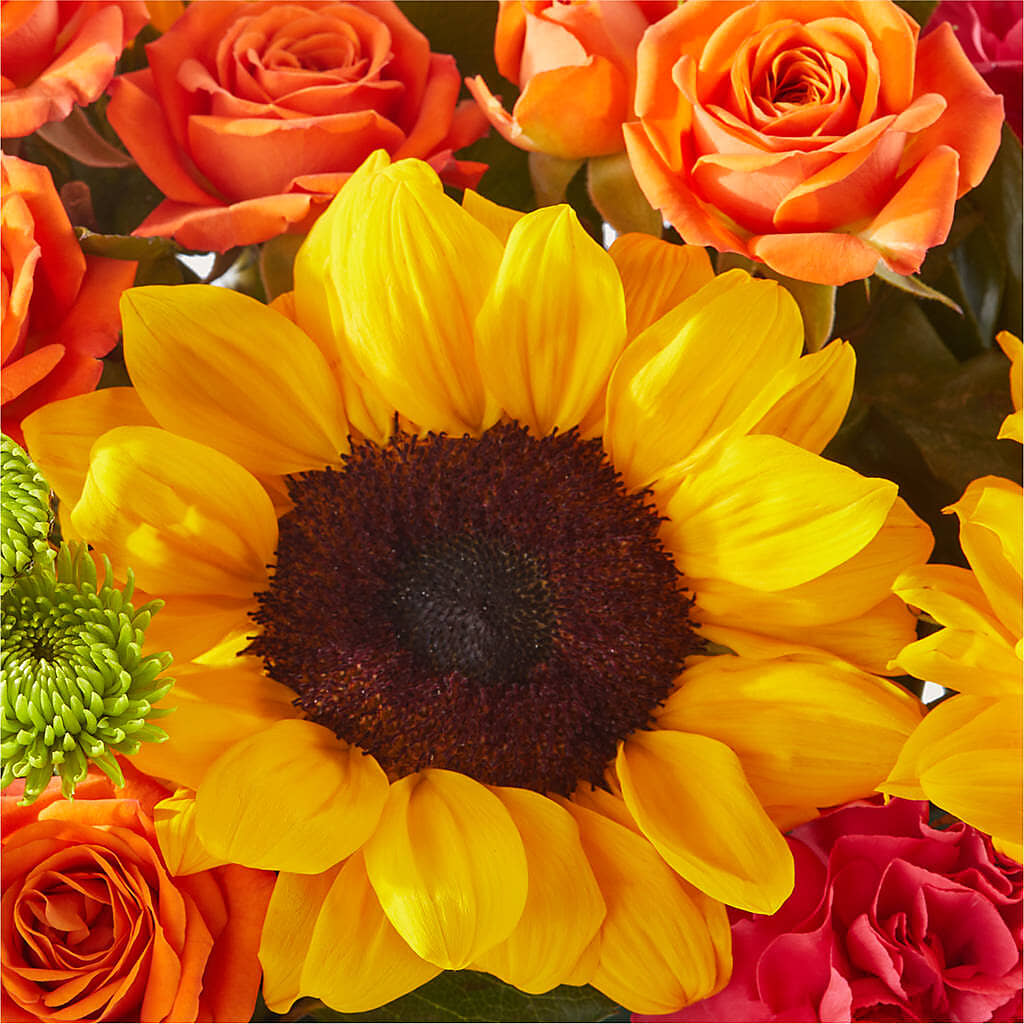 Sun-drenched Blooms Box Bouquet – HILL'S FLOWERS AND EVENTS, San Jose CA