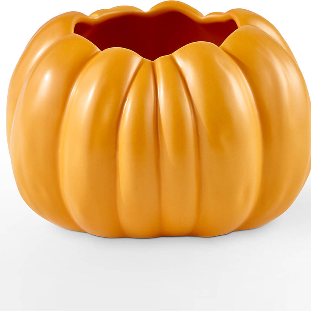 Golden Gourd Pumpkin Bouquet – HILL'S FLOWERS AND EVENTS, San Jose CA