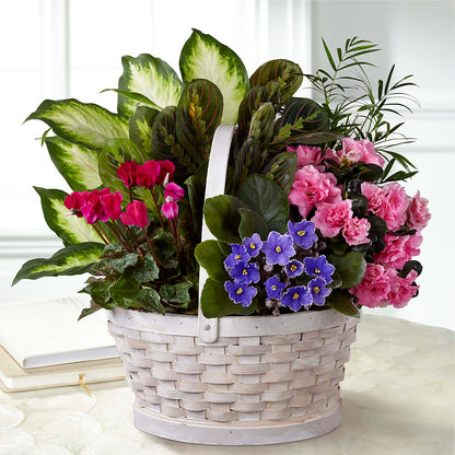 Peaceful Garden Planter – HILL'S FLOWERS AND EVENTS, San Jose CA