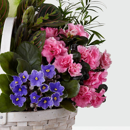 Peaceful Garden Planter – HILL'S FLOWERS AND EVENTS, San Jose CA