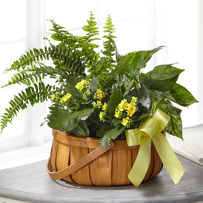 Always Dear Dishgarden – HILL'S FLOWERS AND EVENTS, San Jose CA