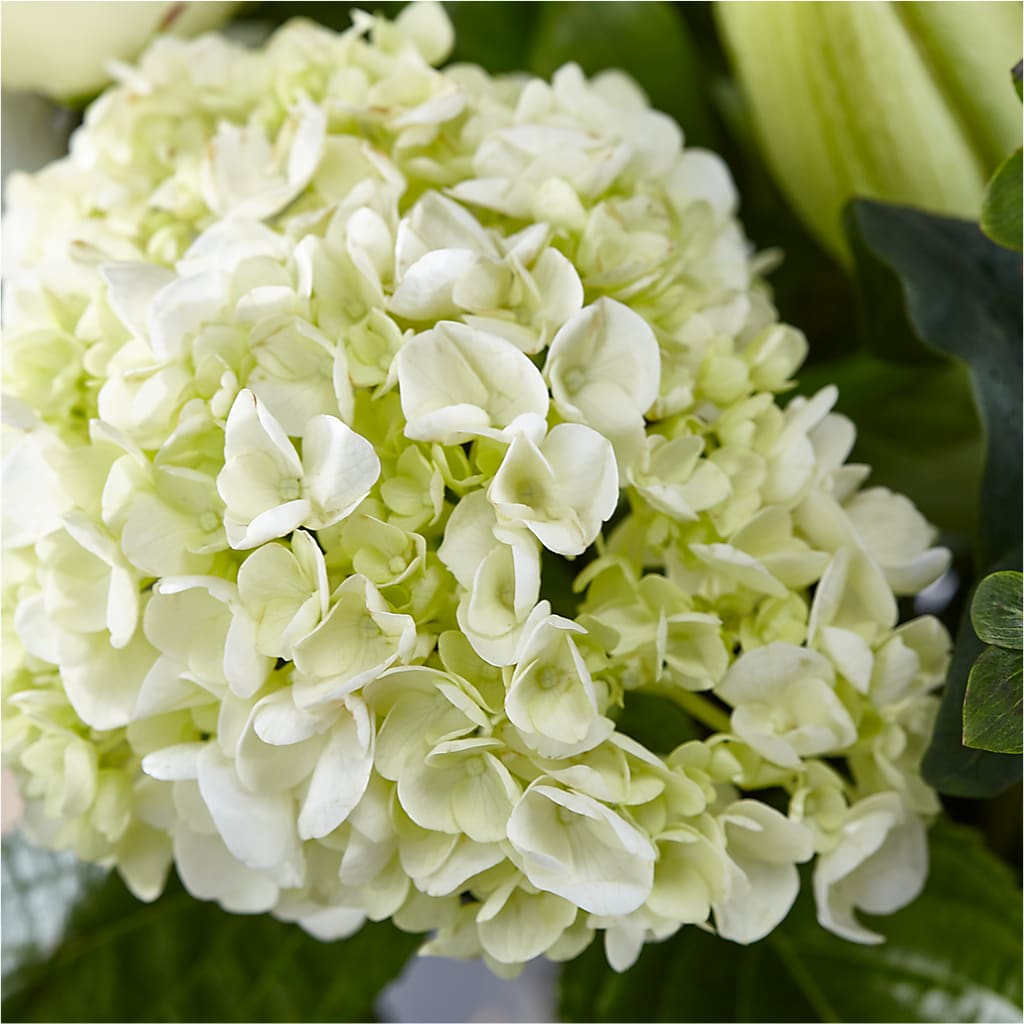 Classic Ivory – A Florist Original – HILL'S FLOWERS AND EVENTS, San Jose CA