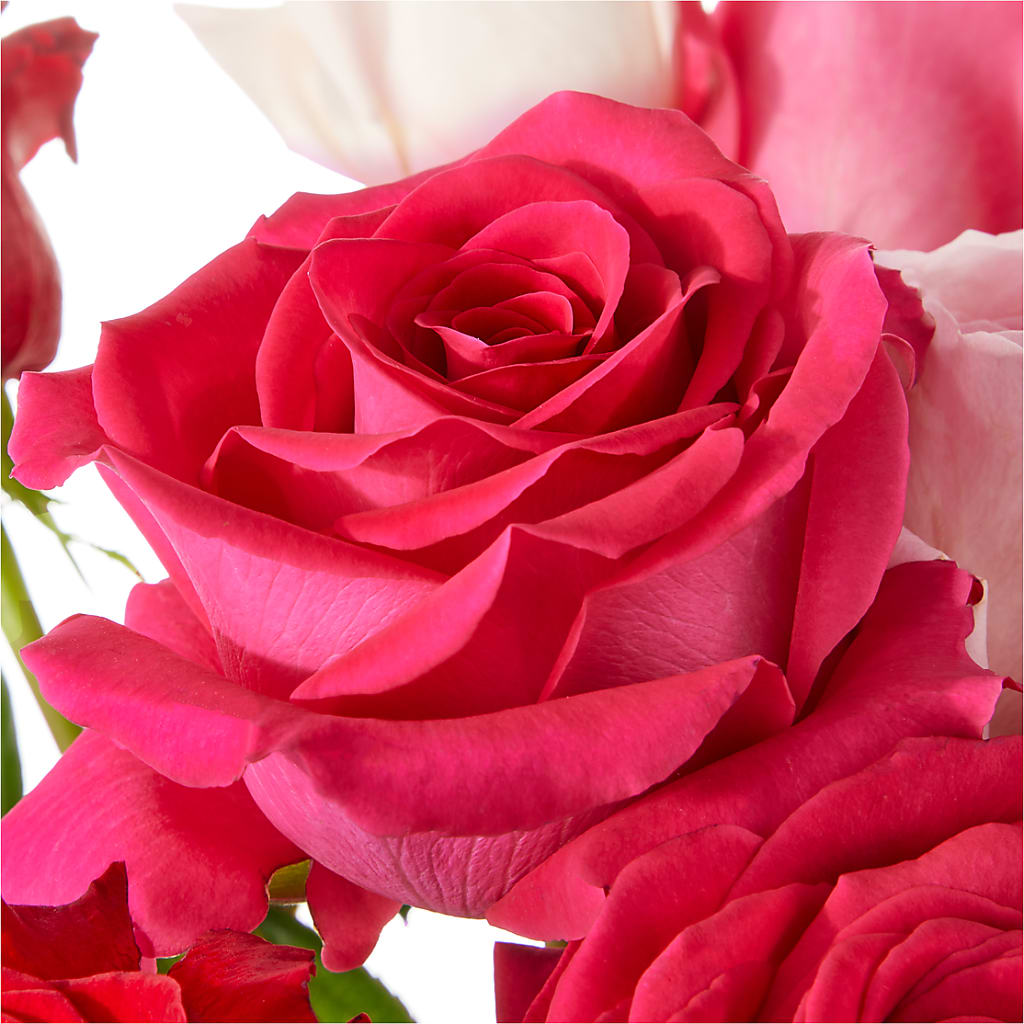 Love Notes Rose Bouquet – HILL'S FLOWERS AND EVENTS, San Jose CA