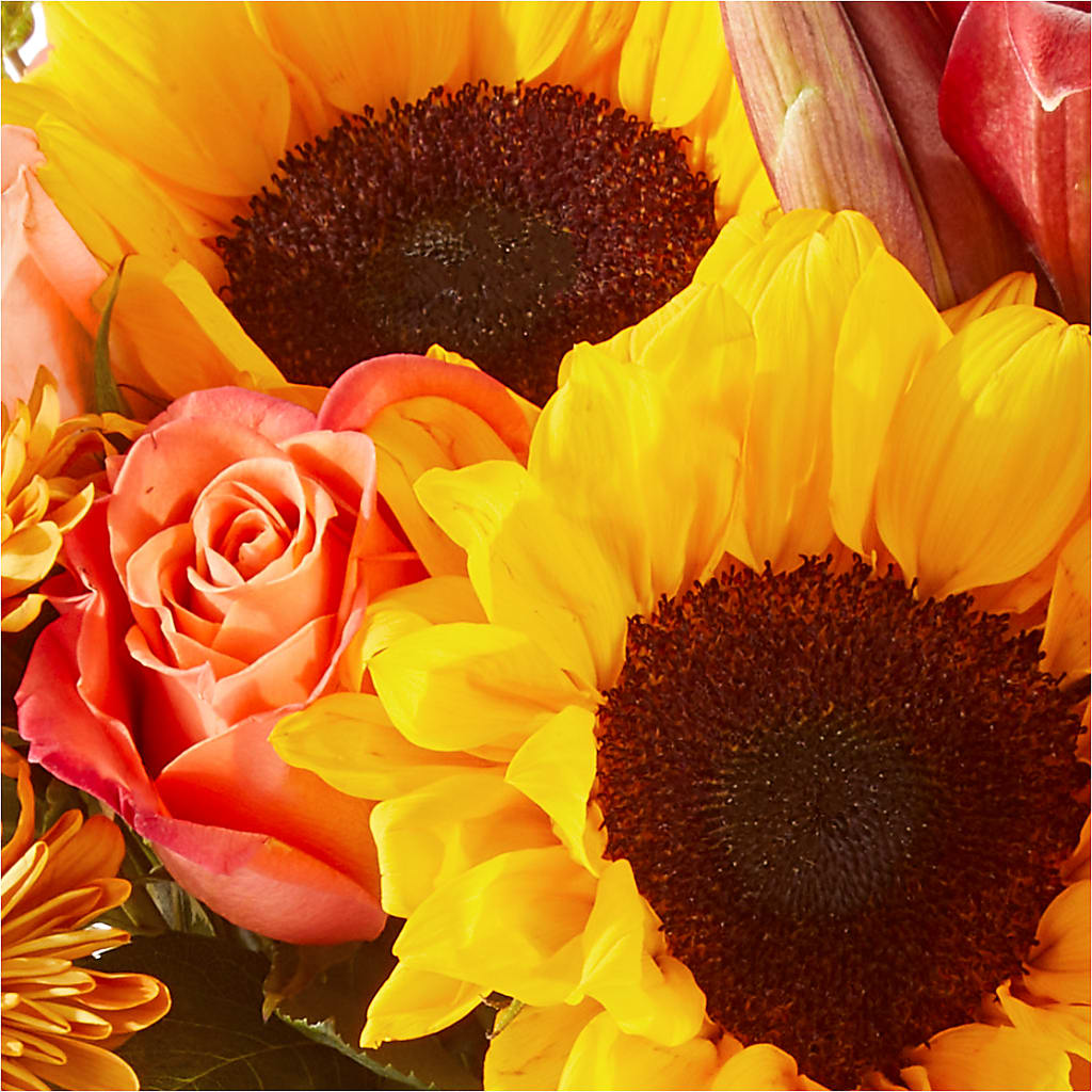 Acorn Lane Bouquet – HILL'S FLOWERS AND EVENTS, San Jose CA