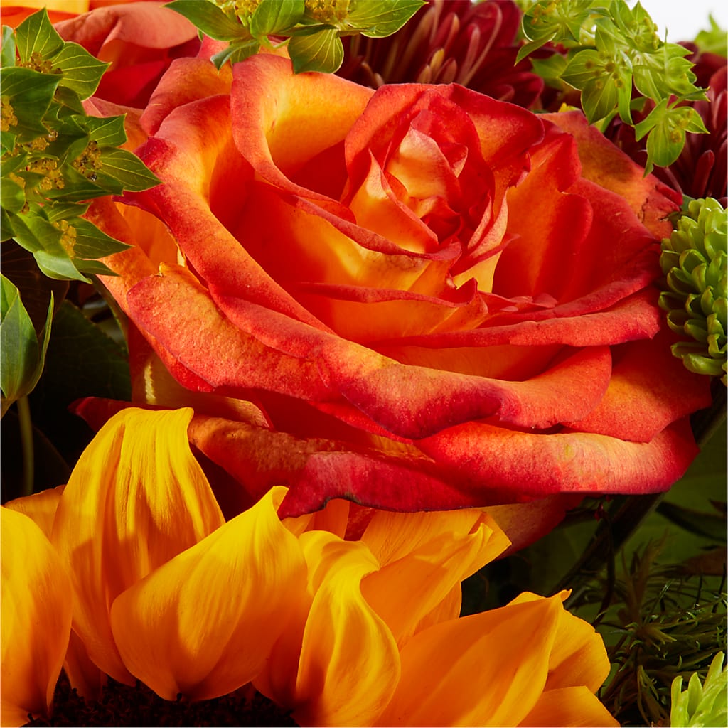 Harvest Festival Bouquet – HILL'S FLOWERS AND EVENTS, San Jose CA