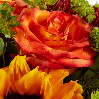 Harvest Festival Bouquet – HILL'S FLOWERS AND EVENTS, San Jose CA