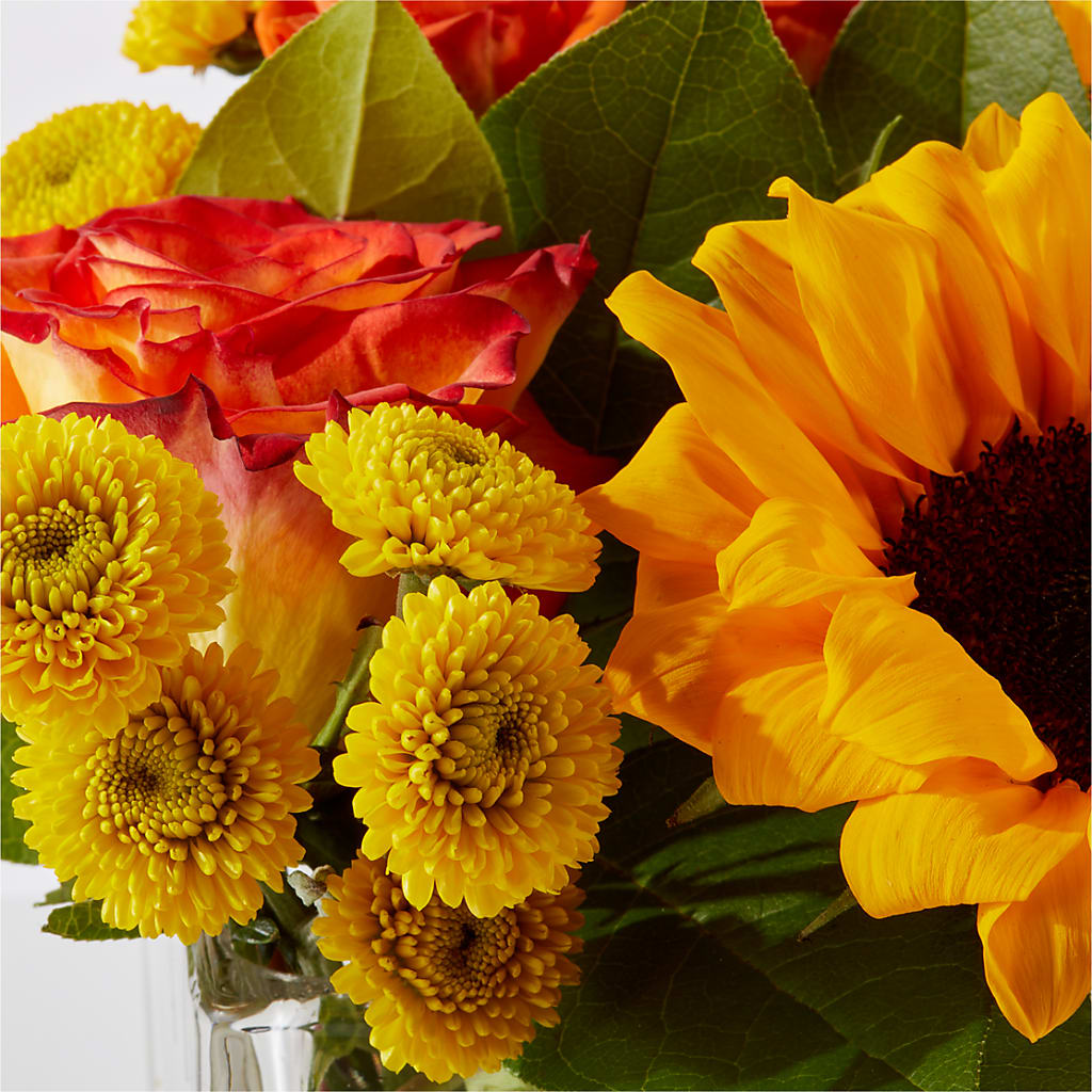 Picnic in the Park Bouquet – HILL'S FLOWERS AND EVENTS, San Jose CA