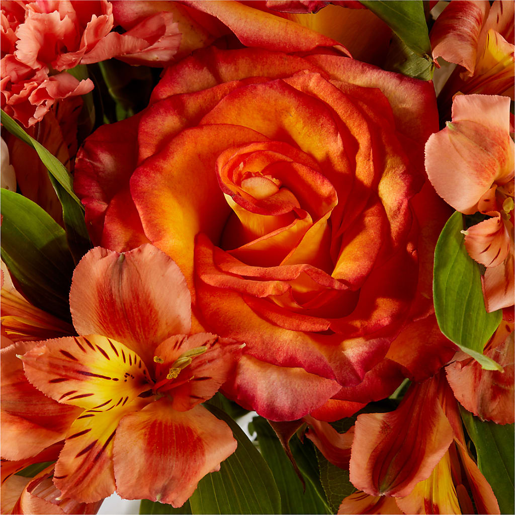 Apricot Glow Bouquet – HILL'S FLOWERS AND EVENTS, San Jose CA