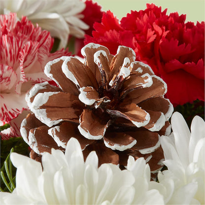 Candy Cane Lane Bouquet – HILL'S FLOWERS AND EVENTS, San Jose CA