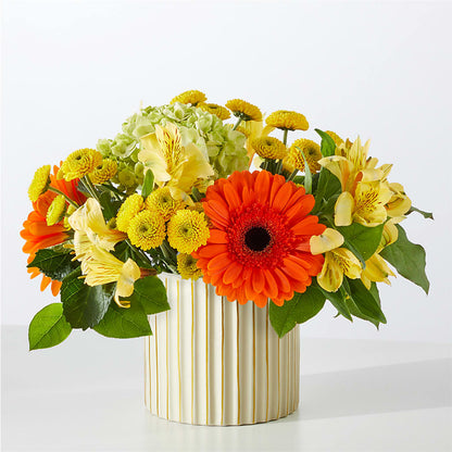 Autumn Sunshine Bouquet with Ivory Vase – HILL'S FLOWERS AND EVENTS, San Jose CA