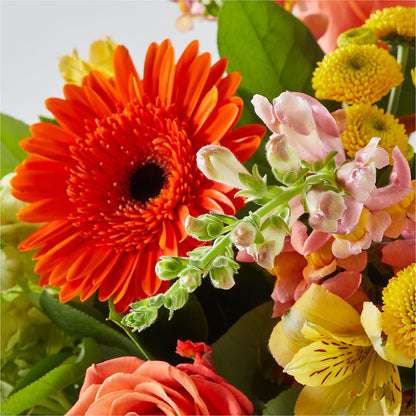 Autumn Sunshine Bouquet – HILL'S FLOWERS AND EVENTS, San Jose CA