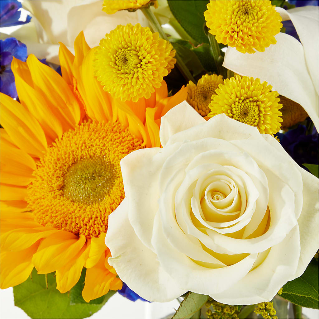 Stargazing Bouquet – HILL'S FLOWERS AND EVENTS, San Jose CA
