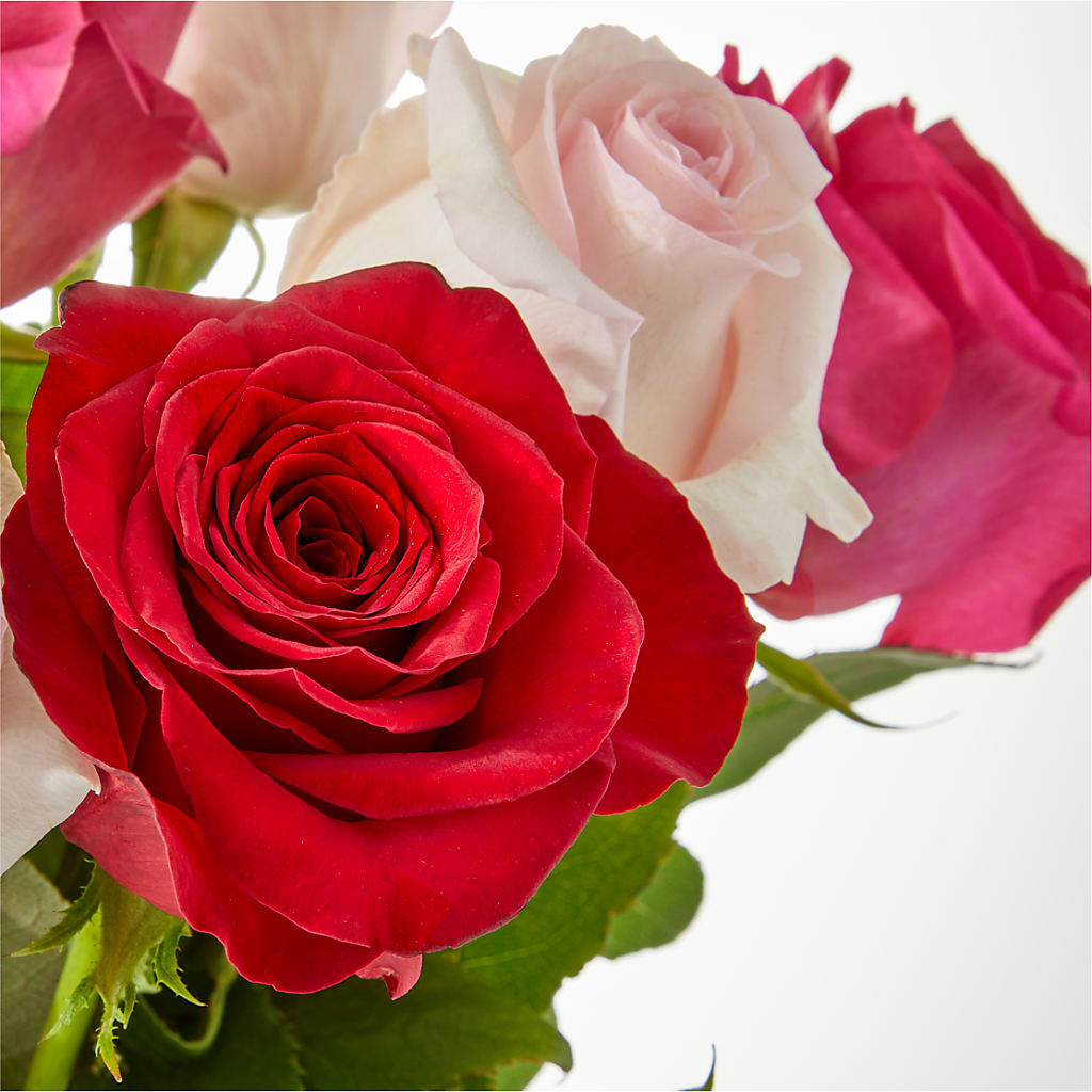Charming Rose Bouquet – HILL'S FLOWERS AND EVENTS, San Jose CA