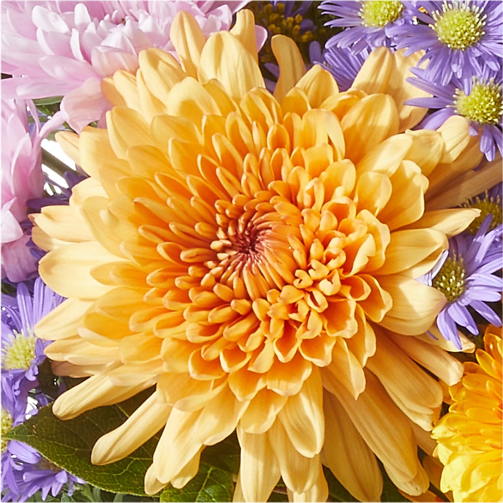 Countryside Bouquet – HILL'S FLOWERS AND EVENTS, San Jose CA