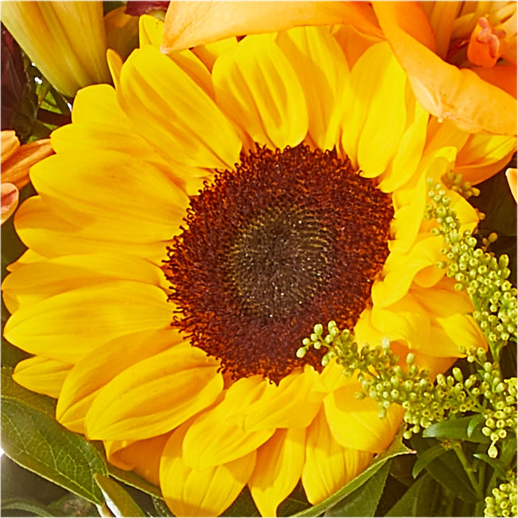 Seasons Change Bouquet – HILL'S FLOWERS AND EVENTS, San Jose CA