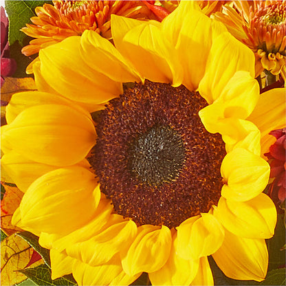 Sunny Side Bouquet – HILL'S FLOWERS AND EVENTS, San Jose CA