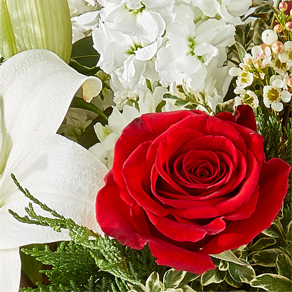 Twinkle Lights Bouquet – HILL'S FLOWERS AND EVENTS, San Jose CA