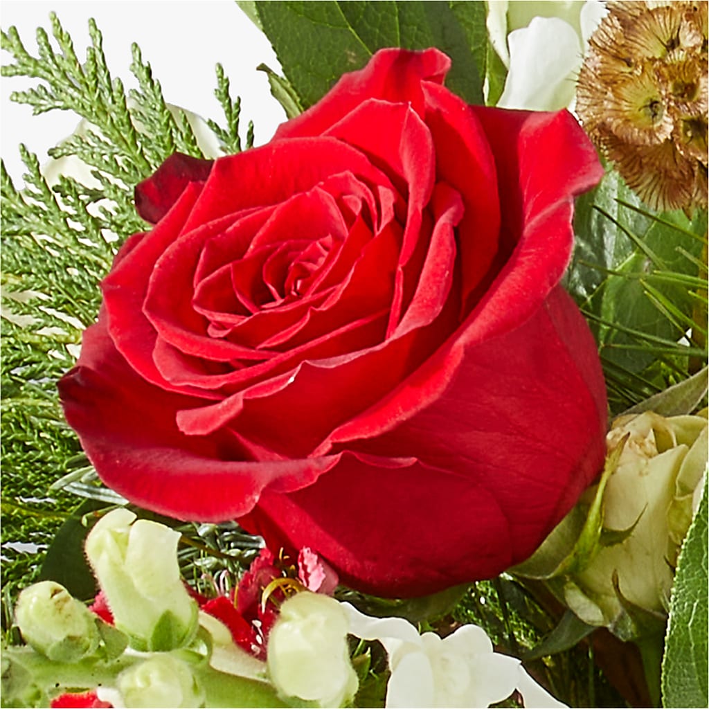 Deck the Halls Bouquet – HILL'S FLOWERS AND EVENTS, San Jose CA
