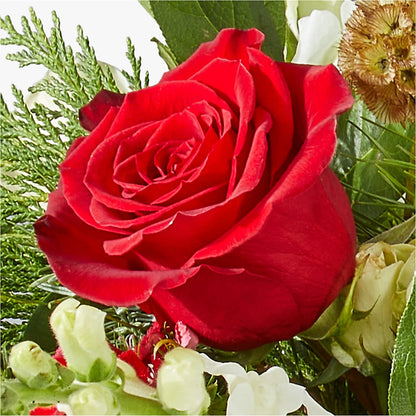 Deck the Halls Bouquet – HILL'S FLOWERS AND EVENTS, San Jose CA