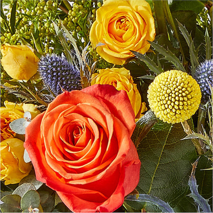 Disco Bouquet – HILL'S FLOWERS AND EVENTS, San Jose CA
