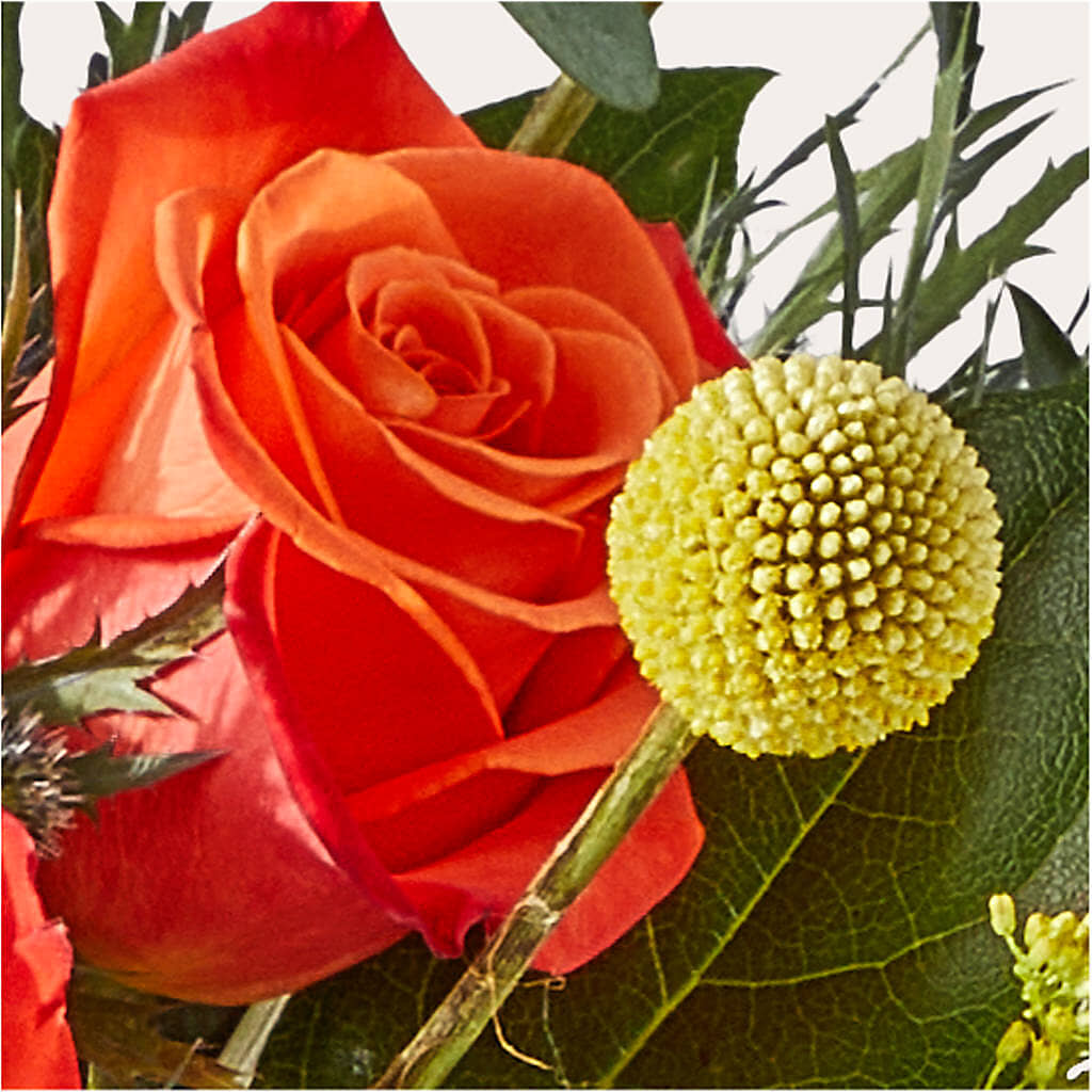 Disco Bouquet – HILL'S FLOWERS AND EVENTS, San Jose CA