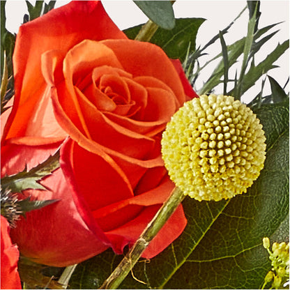 Disco Bouquet – HILL'S FLOWERS AND EVENTS, San Jose CA