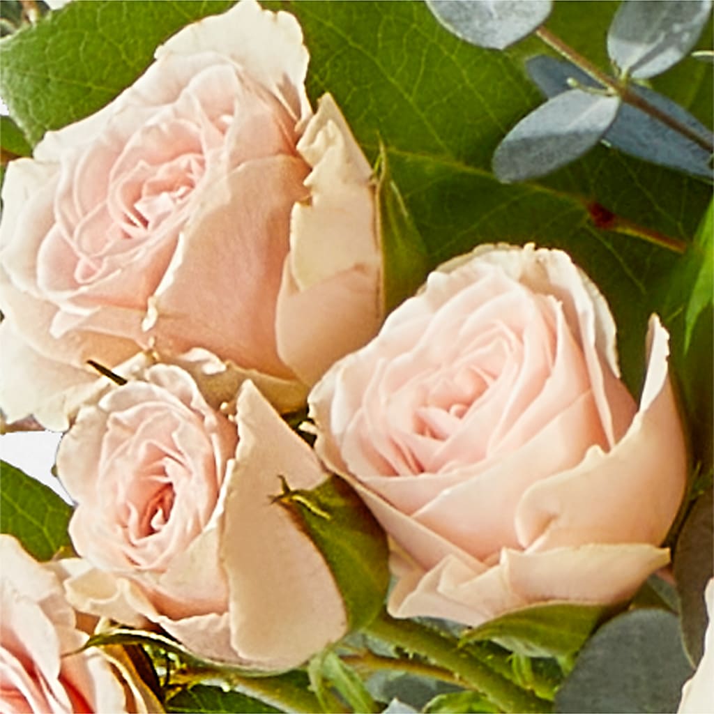 Inspired Bouquet – HILL'S FLOWERS AND EVENTS, San Jose CA
